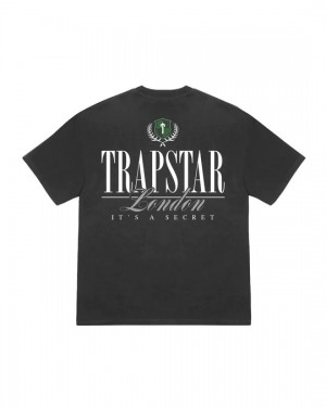 Grey Men's Trapstar Ts Crest 2.0 T-shirts, Trapstar London | 7861INFMP