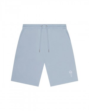 Light Blue Men's Trapstar Foundation Shorts, Trapstar London | 2906PCSGQ